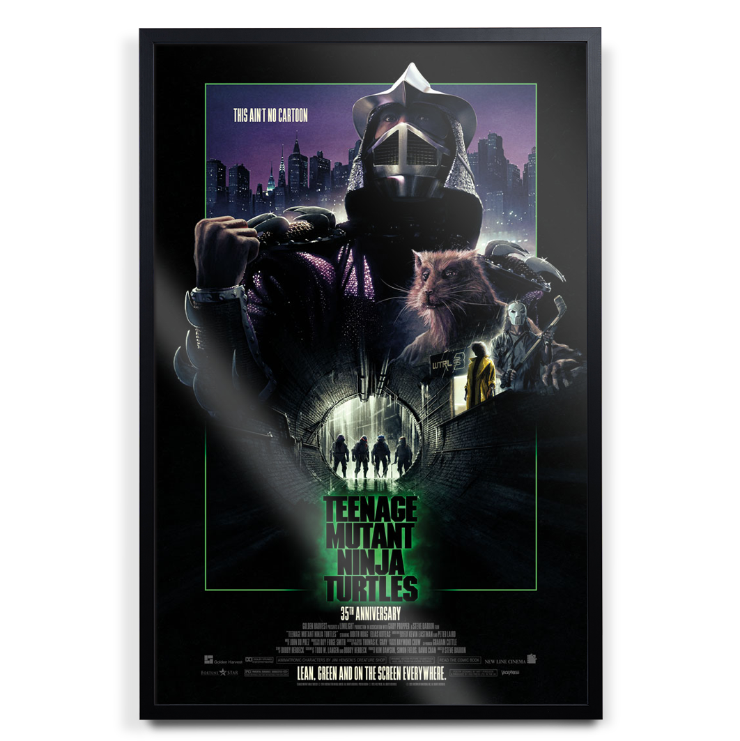 Teenage Mutant Ninja Turtles By Matt Ferguson black frame