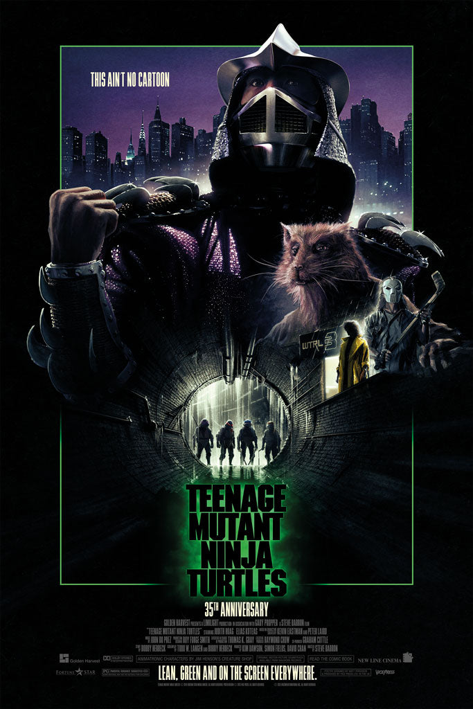 Teenage Mutant Ninja Turtles By Matt Ferguson