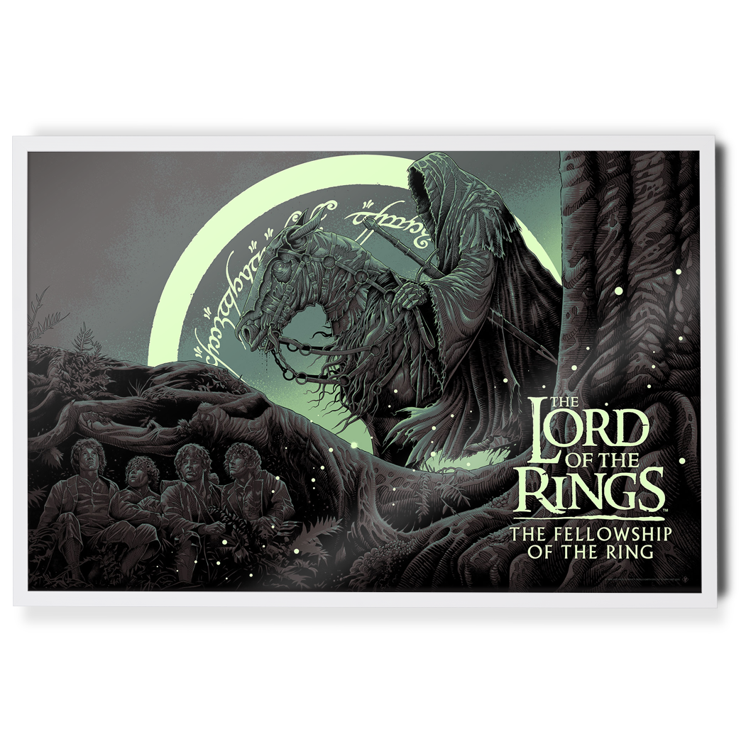 The Lord of the rings fellowship of the ring poster by luke preece in white frame