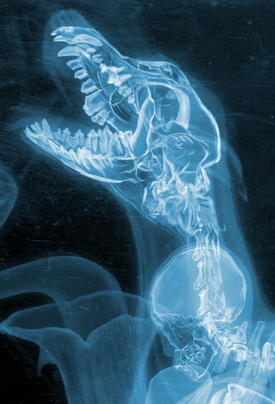 The Thing (X-Ray Timed Edition)