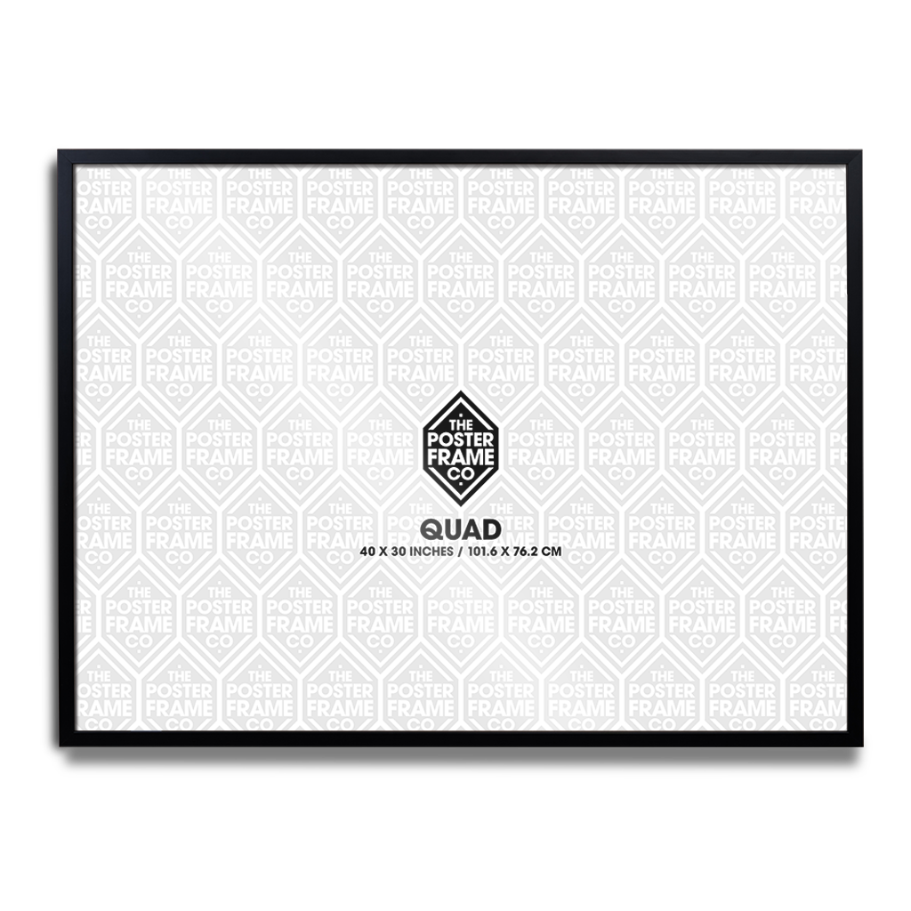 Quad (30x40 Inch) Premium Poster Frame - Black | Vice Press