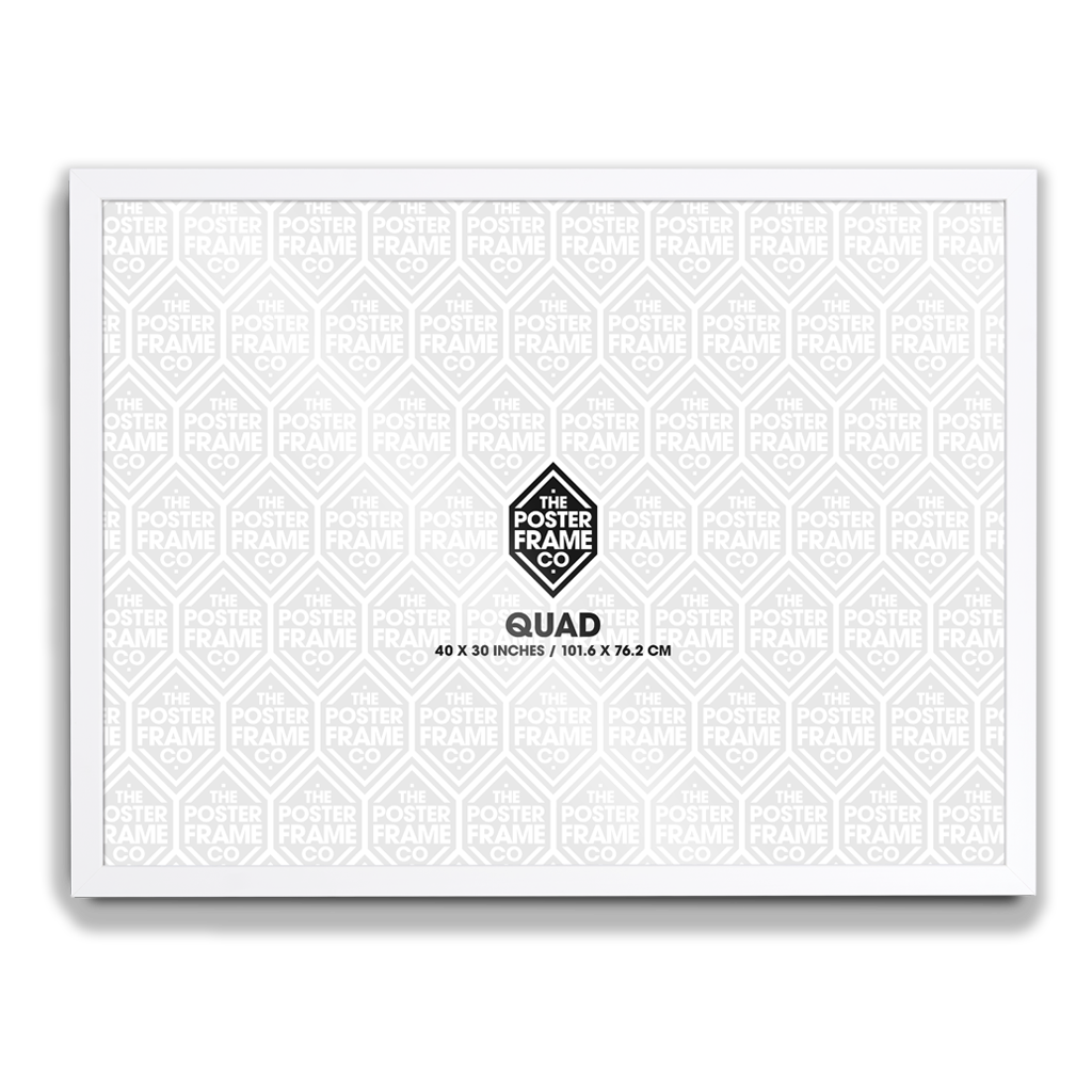Quad 30x40 inch movie poster frame